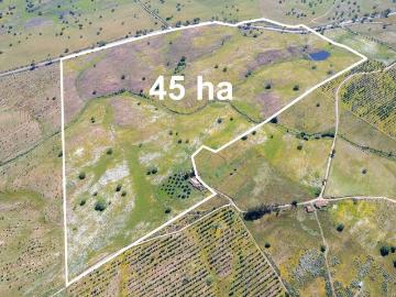 Quinta T2 à venda em Almodôvar