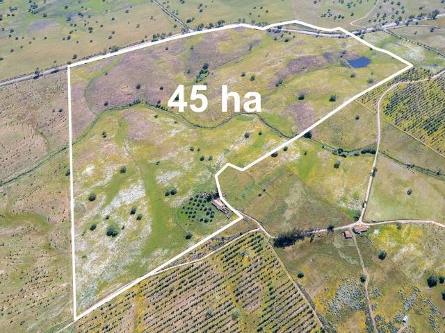 Quinta T2 à venda em Almodôvar