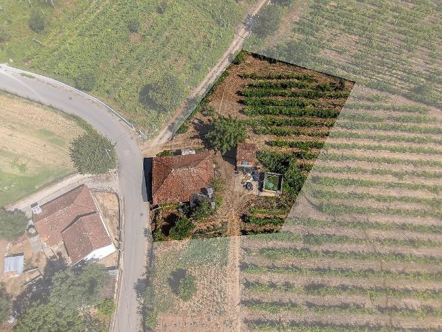 Quinta T2 à venda em Canedo de Basto e Corgo, Celorico de Basto RE/MAX Portugal