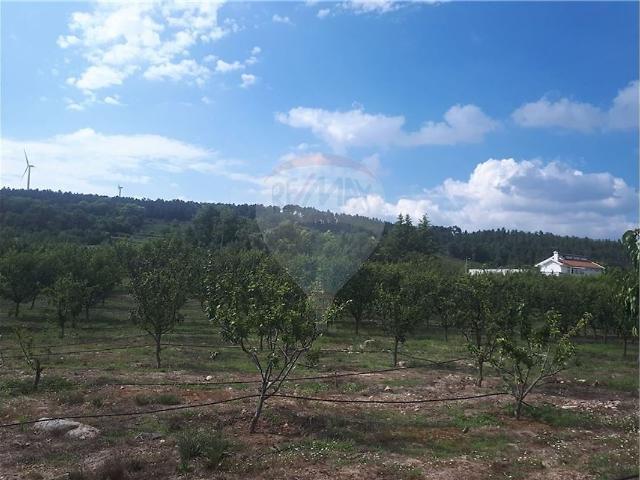 Quinta T2 à venda em Caria, Moimenta da Beira RE/MAX Portugal