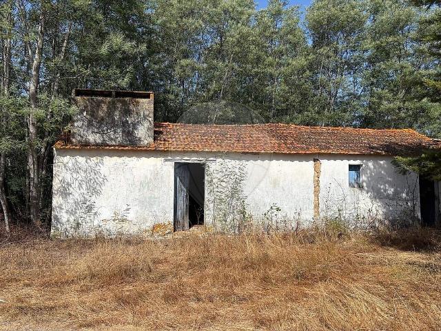 Quinta T2 à venda em Coruche, Fajarda e Erra, Coruche RE/MAX Portugal