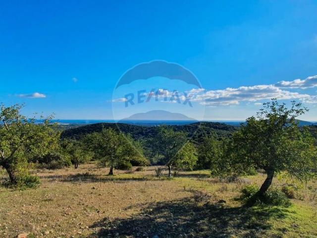 Quinta T2 à venda em Santa Catarina Fonte Bispo, Tavira RE/MAX Portugal