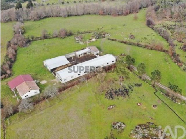Quinta T3 em Quintela de Azurara de 113 m²