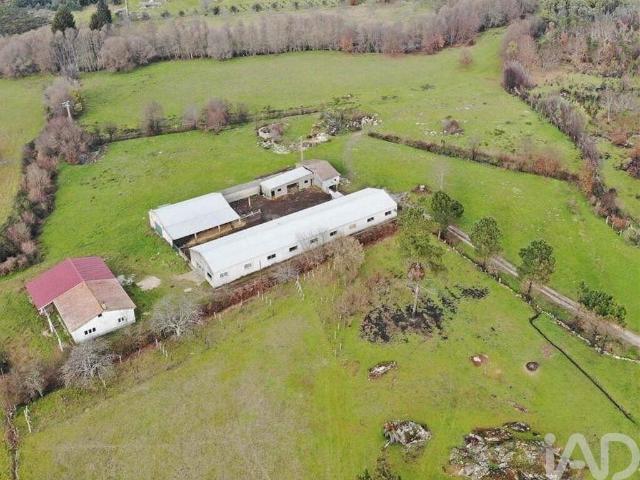 Quinta T3 em Quintela de Azurara de 113 m²