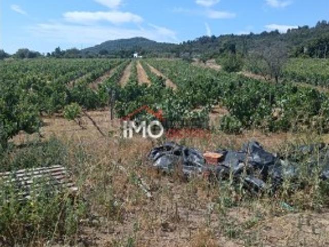 Quinta T2 Venda em Ribeira de Nisa e Carreiras,Portalegre