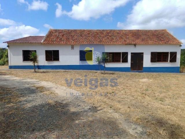 Moradia térrea / Quintinha T3+1 com Vinha, Pomares e Lagar – Gracieira, Óbidos
