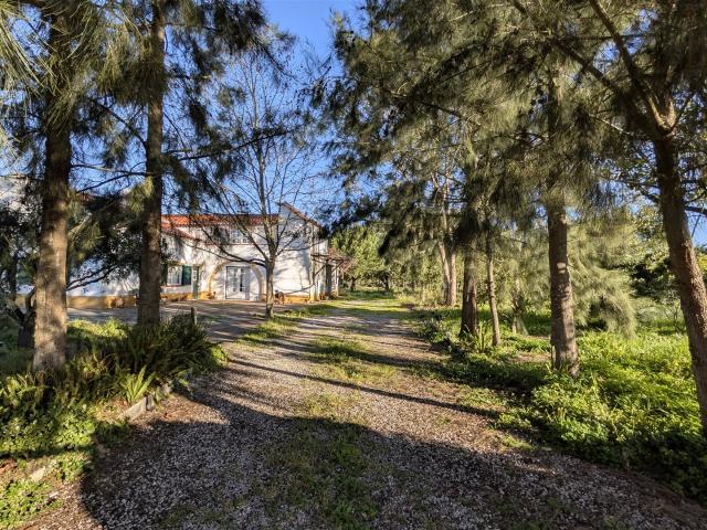 Quinta T3+3 em Santo Isidro de Pegões 175m² Pegões