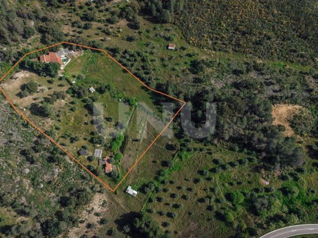 Quinta T3 com 14 630m2 de área