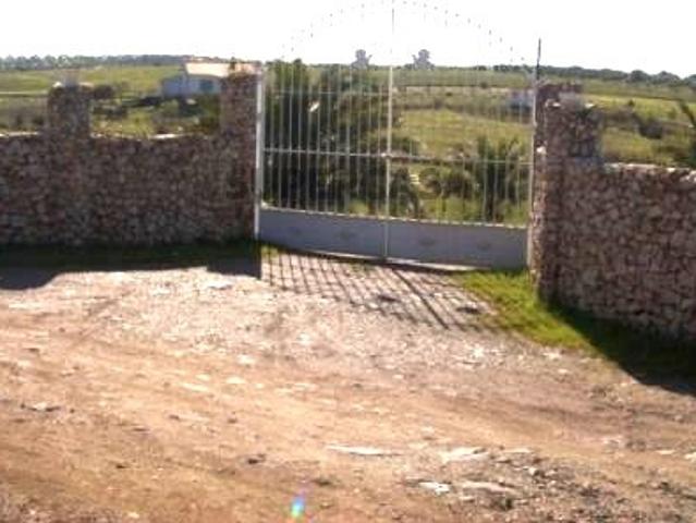 Quinta T3 com 6 hectares junto ao Alqueva Moura