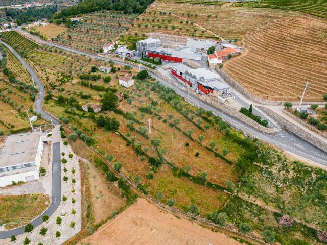 Quinta T3 à venda em Tarouca