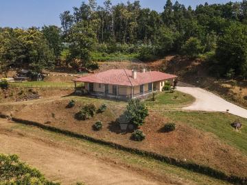 Quinta T3 à venda em Vouzela