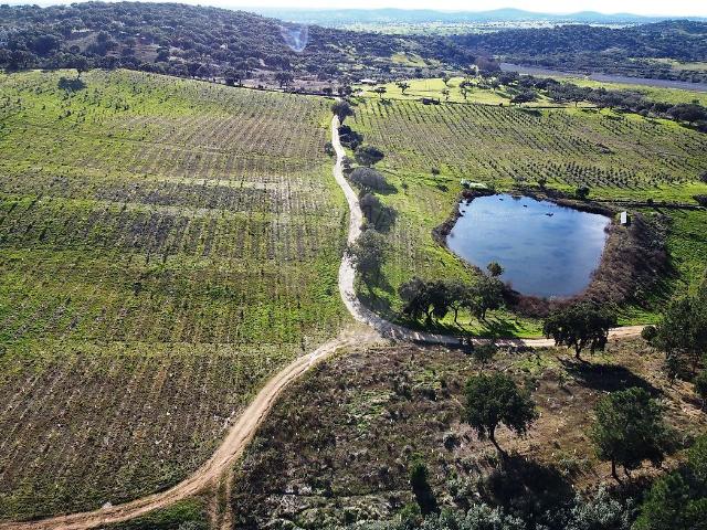 Quinta T3 à venda em Alegrete, Portalegre RE/MAX Portugal