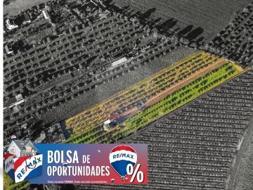Quinta T3 à venda em Golegă