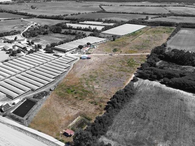 Quinta T3 à venda em Longueira/Almograve, Odemira RE/MAX Portugal