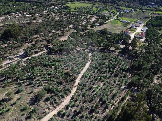 Quinta T3 à venda em Ponte de Sor