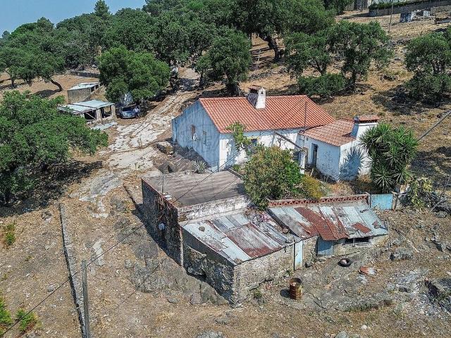 Quinta T3 à venda em Ribeira de Nisa e Carreiras, Portalegre RE/MAX Portugal