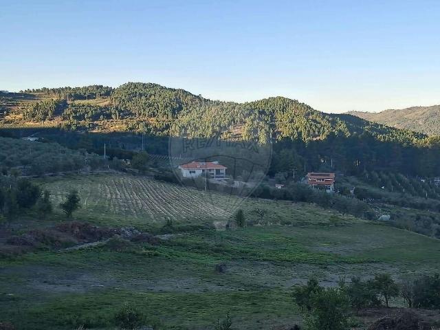 Quinta T3 à venda em São Cosmado, Armamar RE/MAX Portugal