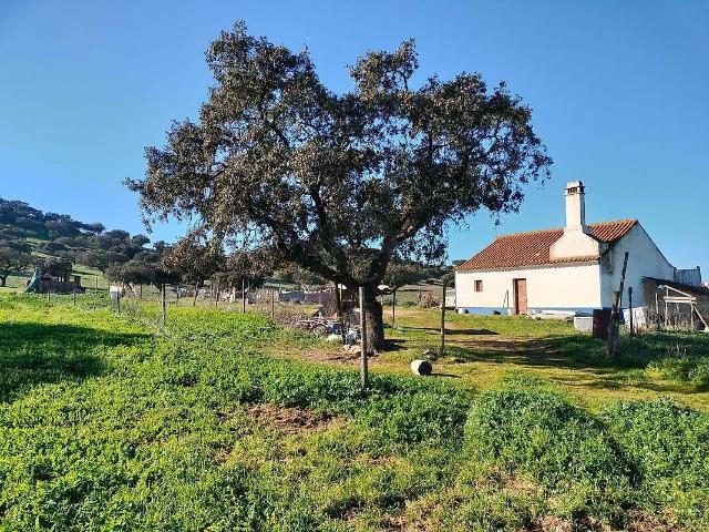 Quinta T3 à venda em Santiago Maior, Alandroal RE/MAX Portugal