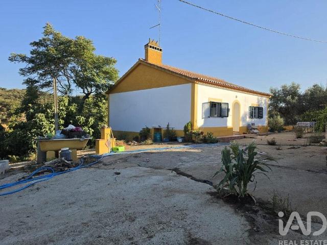 Quinta T3 em Borba Matriz de 341 m² 341m² Borba Matriz