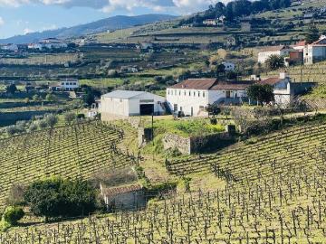Fontelas, Peso da Régua, Peso da Régua, Distrito de Vila Real