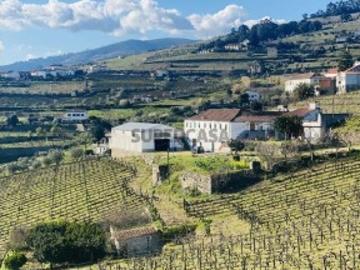 Fontelas, Peso da Régua, Peso da Régua, Distrito de Vila Real