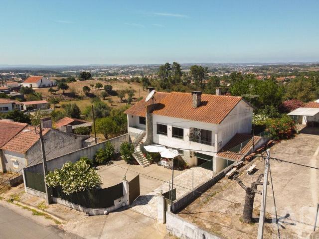 Quinta T3 em São Pedro de Tomar de 335,00 m² 335m² São Pedro De Tomar