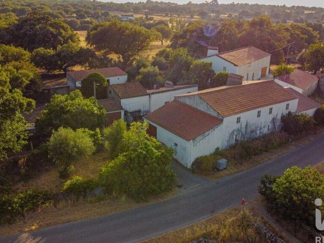 Quinta T3 em São Salvador da Aramenha de 375 m²