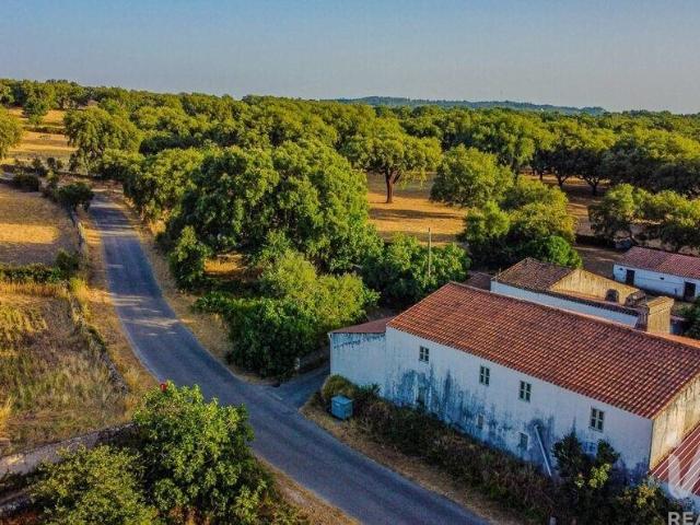 Quinta T3 em São Salvador da Aramenha de 375 m² 375m² São Salvador Da Aramenha