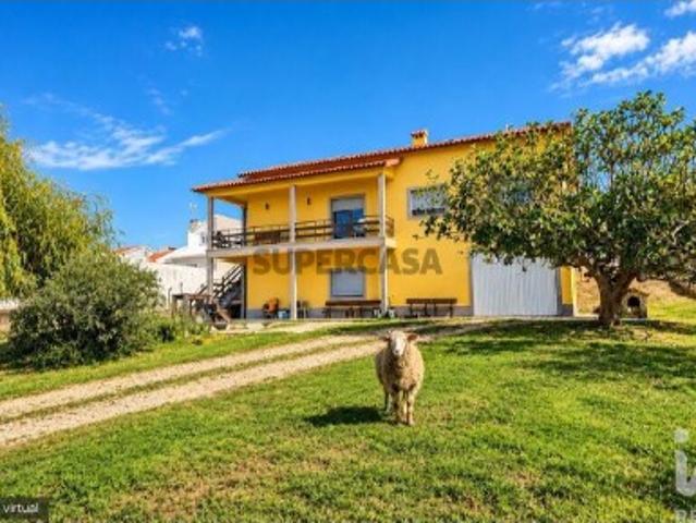 Quinta T3 em Santo Isidoro de 192 m²