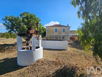 Quinta T3 em Torres Novas Santa Maria, Salvador e Santiago de 244 m²