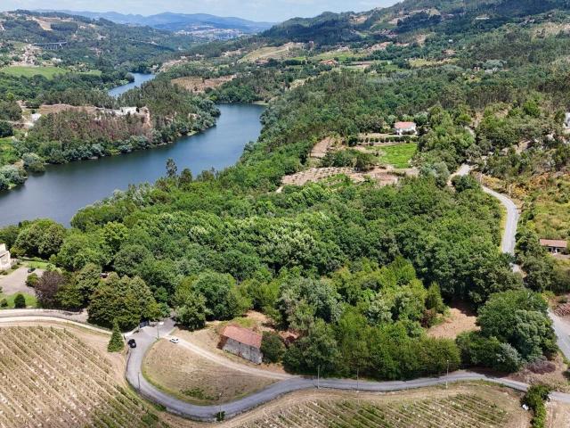 Quinta T3 / Marco de Canaveses, Várzea, Aliviada e Folhada