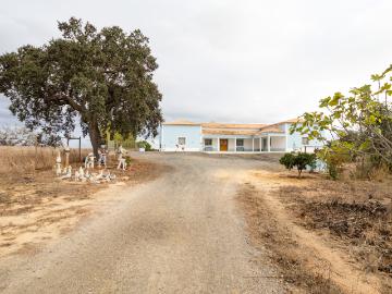 Quinta T4 com Piscina Conforto e Natureza em Perfeita Harmonia para a Sua Família