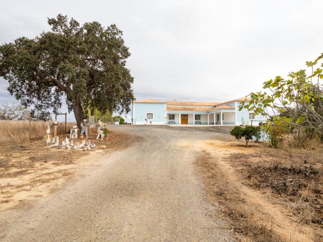 Quinta T4 com Piscina Conforto e Natureza em Perfeita Harmonia para a Sua Família