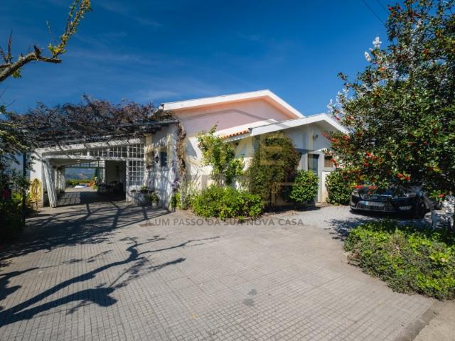 Quinta T4 com Vinhas e Oliveiras, em Santa Marta de Penaguião Douro