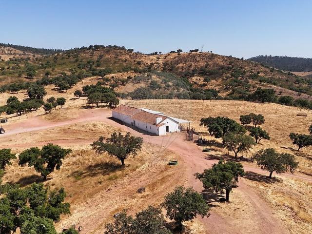 Quinta T4 à venda em São Manços e São Vicente do Pigeiro, Évora RE/MAX Portugal