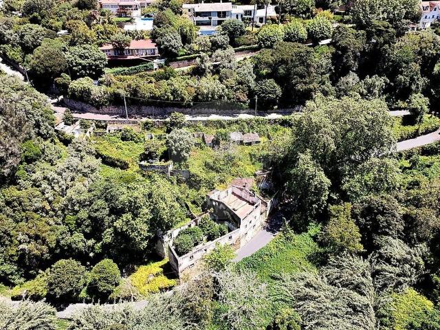 Quinta T4 à venda em Sintra Santa Maria e São Miguel, São Martinho e São Pedro de Penaferrim, Sintra RE/MAX Portugal