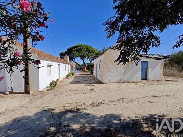 Quinta T4 em Coruche, Fajarda e Erra de 126 m²