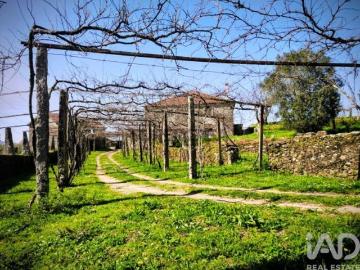 Argela, Distrito de Viana do Castelo