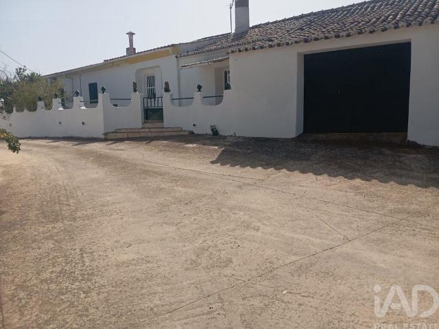 Quinta T4 em São Barnabé de 77 m²