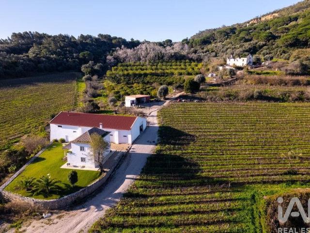 Quinta T4 em Setúbal de 200 m² 200m² Setúbal São Julião, Nossa Senhora da Anunciada e Santa Mari