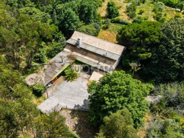 Quinta T4 + T3 I Terreno I Figueiró dos Vinhos