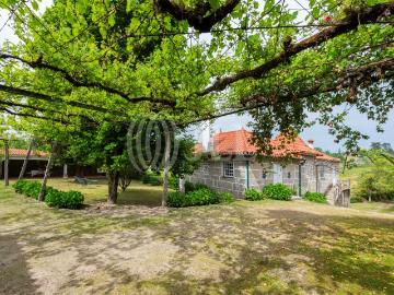 Quinta T5, com piscina, na região do Douro, em Penafiel 116m² Castelões De Cepeda