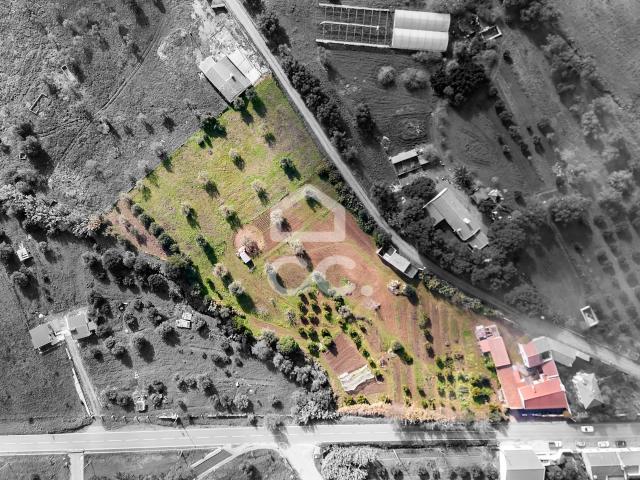 Quinta de 9750 m2 com duas moradias e Anexos | Torrão