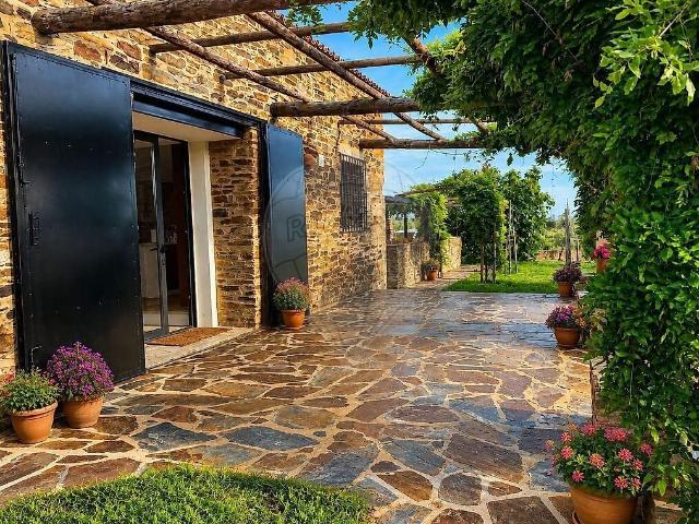 Quinta T5 de luxo à venda em Pedrógão de São Pedro e Bemposta, Penamacor RE/MAX Portugal
