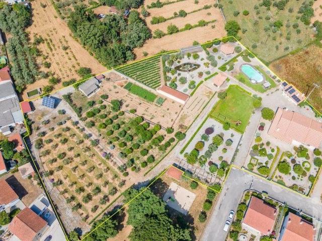 Quinta T5 em Midões 385m² Midões