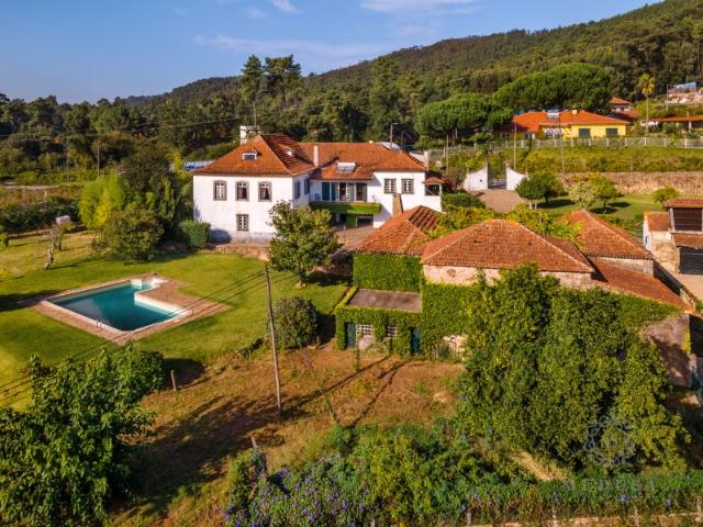 Quinta T5 | Terreno de 130.400 m2 | Oliveira de Azeméis, Aveiro