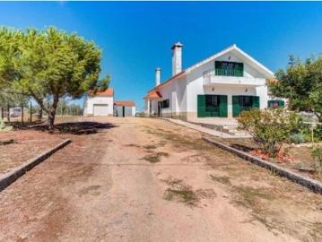 Quinta T6