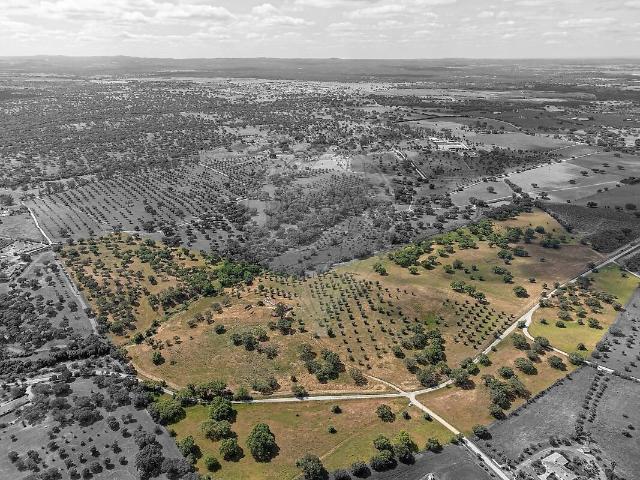 Quinta T6 à venda em Foros de Vale de Figueira, Montemor o Novo RE/MAX Portugal