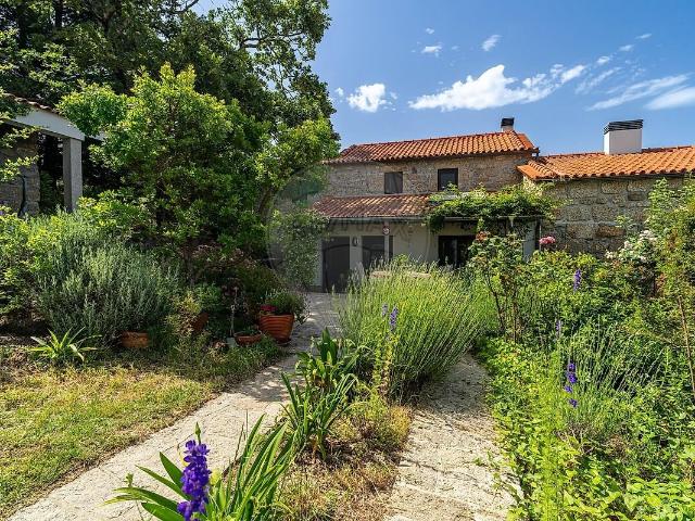 Quinta T6 à venda em Nogueira do Cravo, Oliveira do Hospital RE/MAX Portugal
