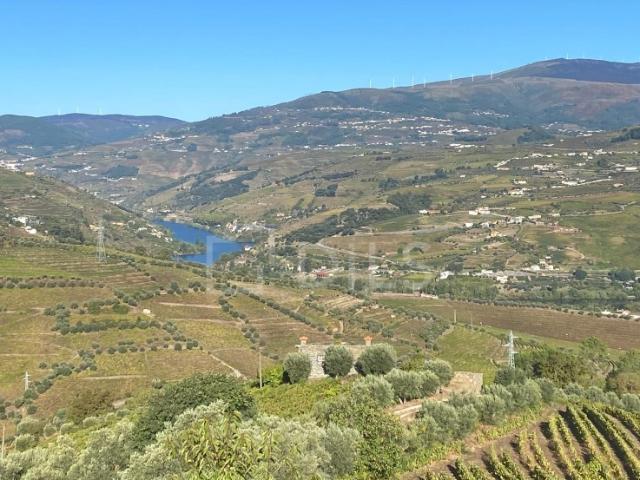 Quinta T6 em Lamego, Cambres, com vinha e vistas rio Douro